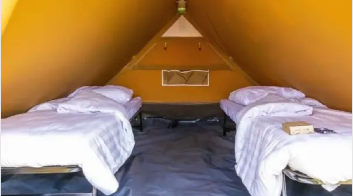 Tente Tomorrowland Easy Tent Ltd – 2 Personnes, Pop-up, étanche, Occasion Festival